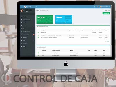 Control de Caja
